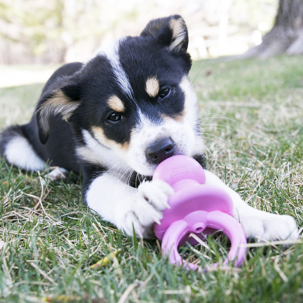 Kong Puppy Chew Dog Toy, Pink, Small