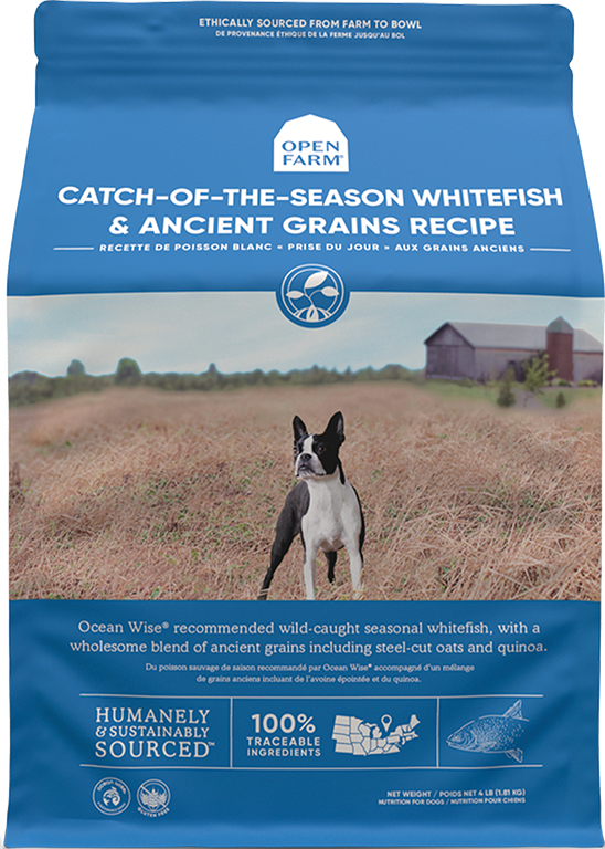 Open Farm Ancient Grain Dog Food Whitefish The Modern Dog