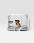 Diggs - Evolv Dog Crate: Ash / 36"