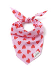 The Paws - Lovesong Dog Bandana