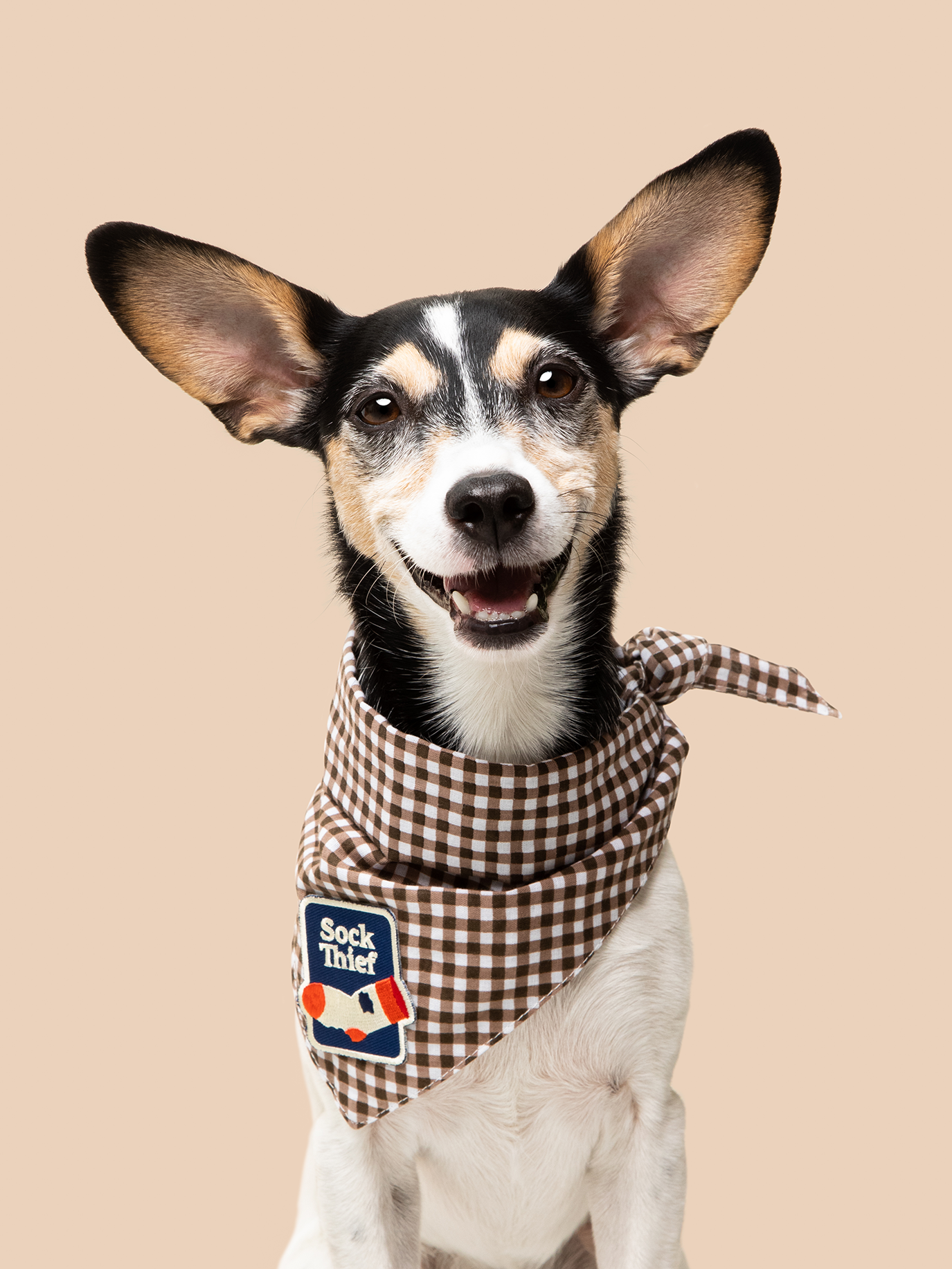 Scout's Honour - Sock Thief iron-on patch for dogs