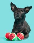 BARK Watermelon Tennis Balls