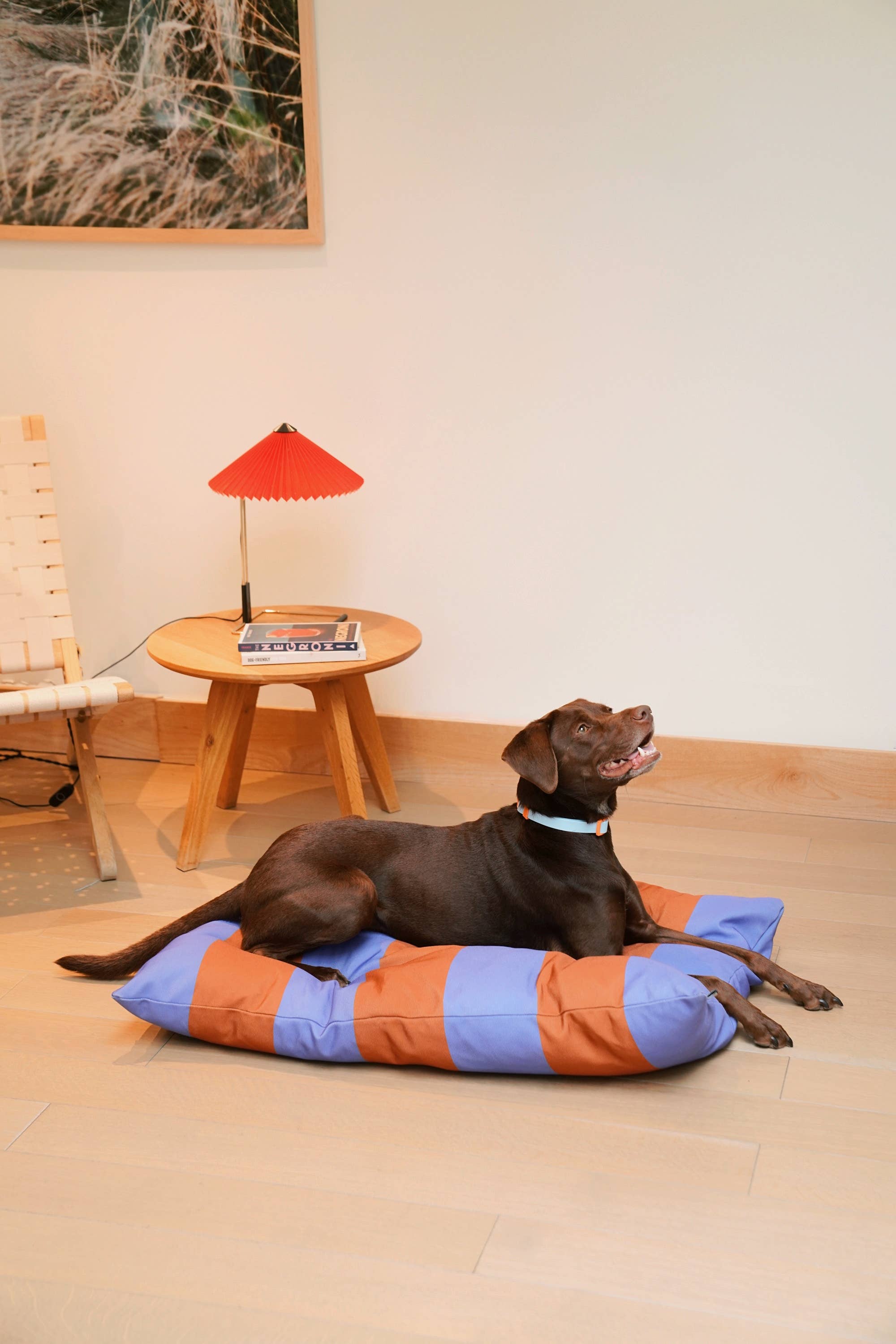 Approved by Fritz - The Fritz Dog Bed | Recycled | Machine Washable: Goalgetter / Standard