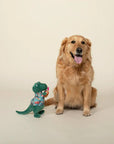 PetShop by Fringe Studio It's 5 O'Clock Somewhere Dog Toy