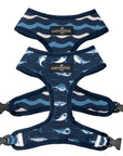 Lucy & Co. - Shark Attack Reversible Harness