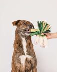 the furryfolks - Green Onion Nosework Toy