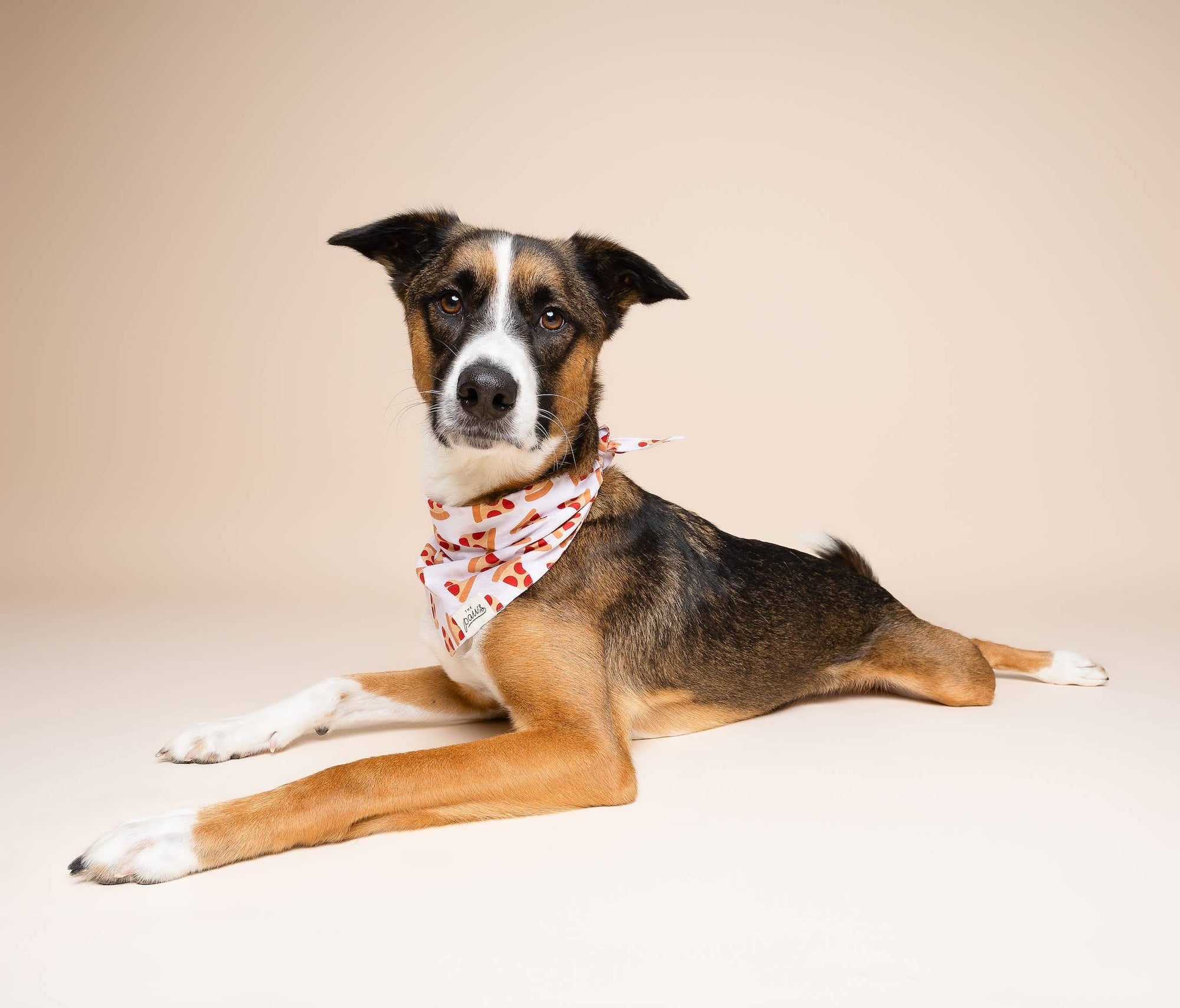 The Paws - Pizza  Dog Bandana