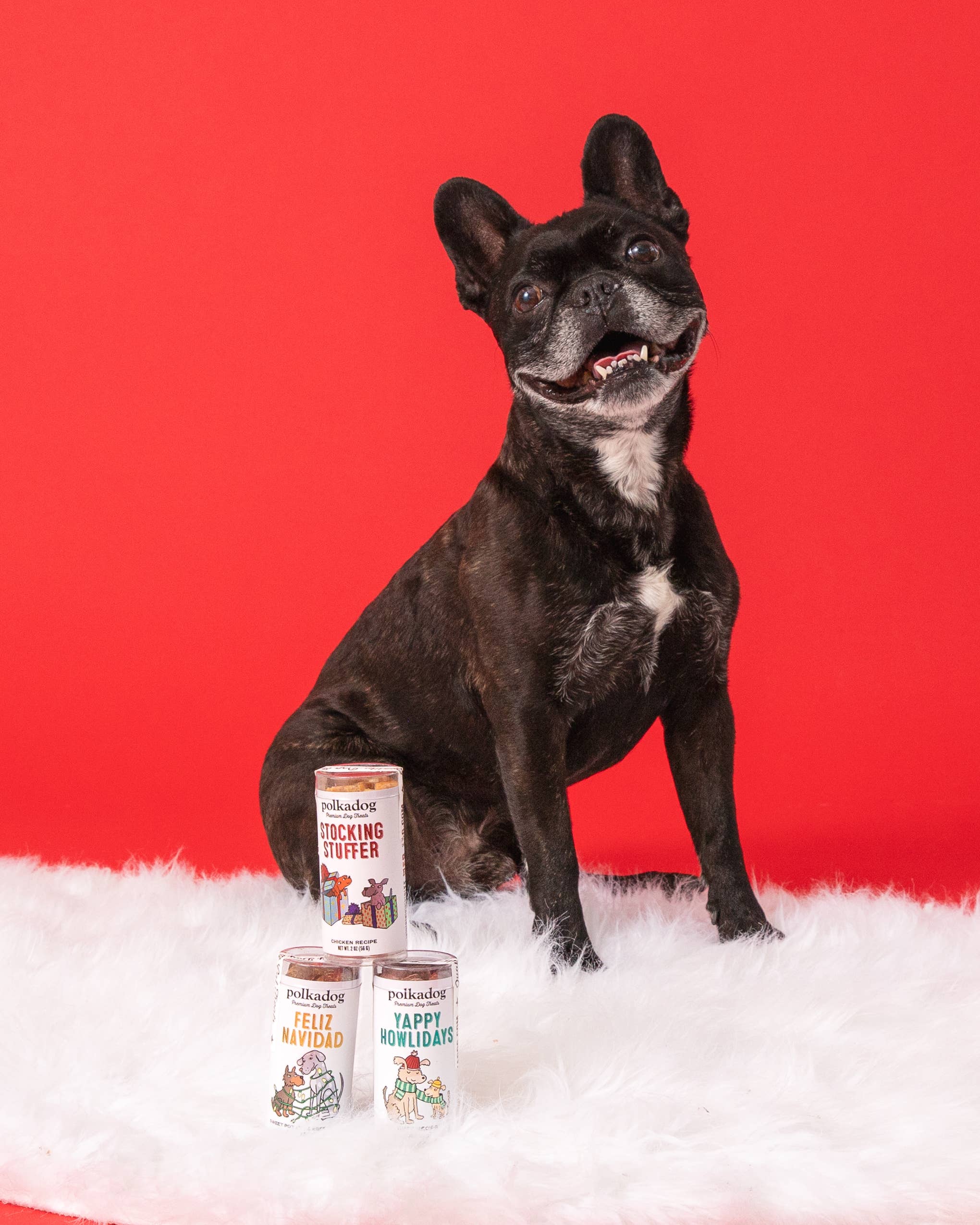 Polkadog - Holiday Mini Tube: Feliz Navidad - Dog Treats