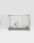 Diggs - Evolv Dog Crate: Ash / 36"