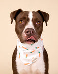 The Paws - Carrot Dog Bandana