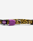 Zee.Dog - Honey | Cat Collar