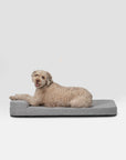 Diggs - Bolstr Crate Bed [Universal fit]: Grey / 24"