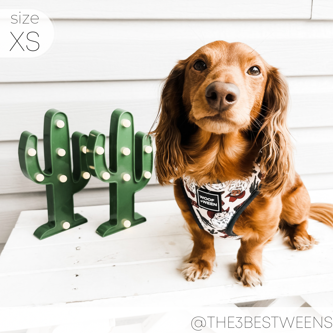 WOOF+WEEN - Adjustable Harness - SANTA PAWS