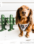 WOOF+WEEN - Adjustable Harness - SANTA PAWS