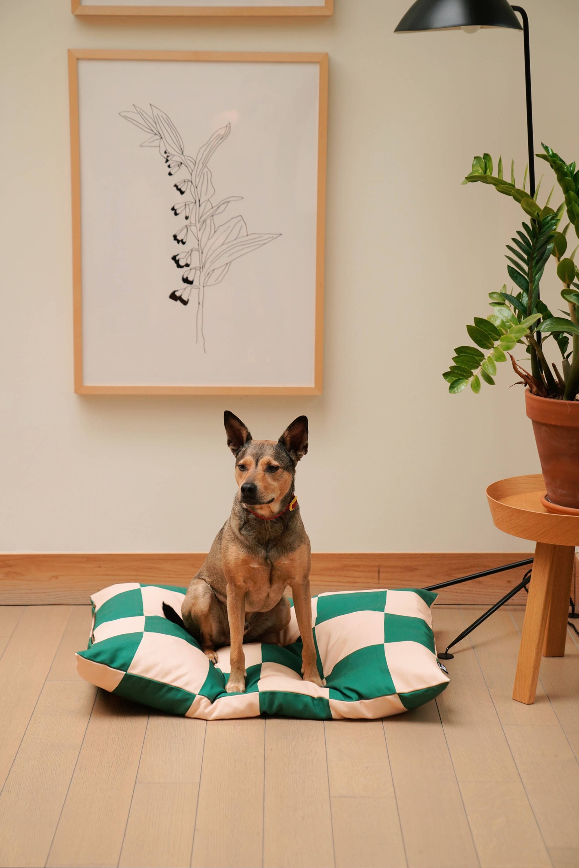 Approved by Fritz - The Fritz Dog Bed | Recycled | Machine Washable: Goalgetter / Standard