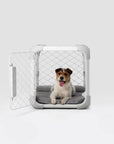 Diggs - Evolv Dog Crate: Ash / 36"