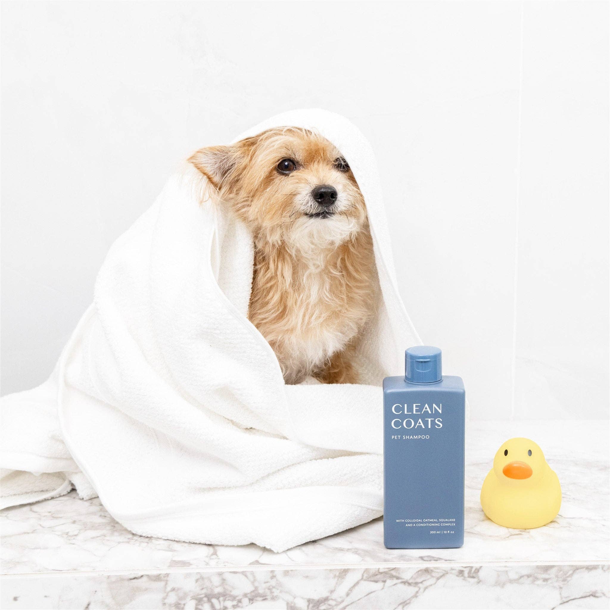 Clean Coats - Dog Shampoo 2 in1 For Itching, Conditioning and Smelly Dogs