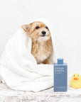 Clean Coats - Dog Shampoo 2 in1 For Itching, Conditioning and Smelly Dogs