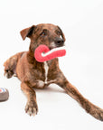 the furryfolks - Tinned Octopus Nosework Toy