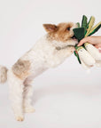 the furryfolks - Green Onion Nosework Toy