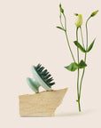 Dandylion - Scrub Brush | Deshed + Lather