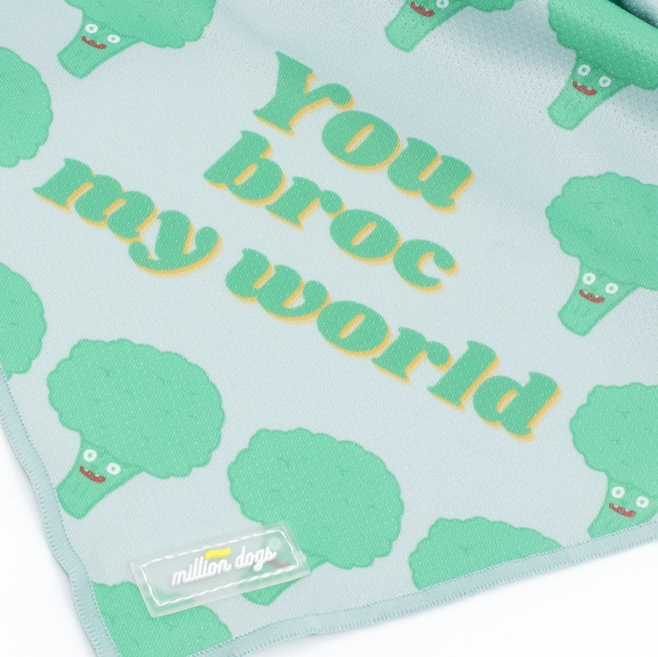 Million Dogs - Cooling Dog Bandana - You Broc My World