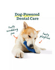 Woof Bite-n-Brush Dental Toy