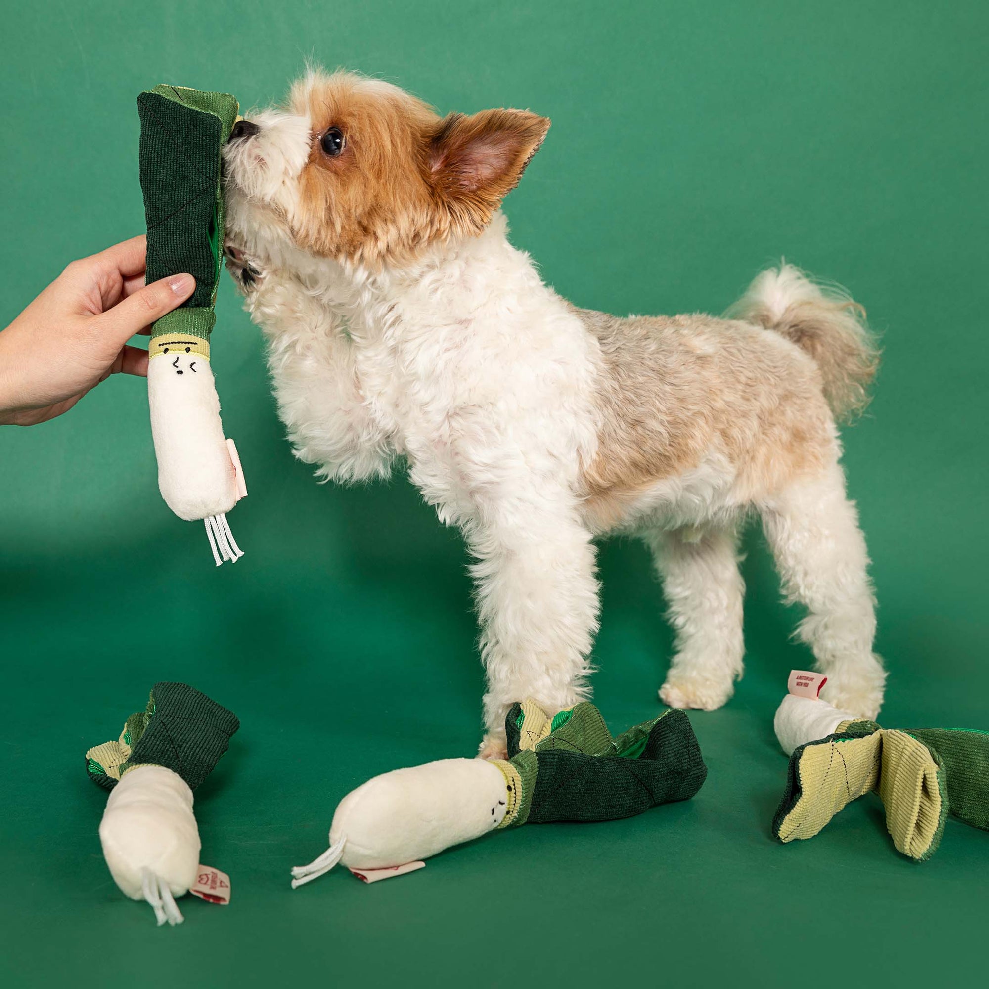 the furryfolks - Green Onion Nosework Toy