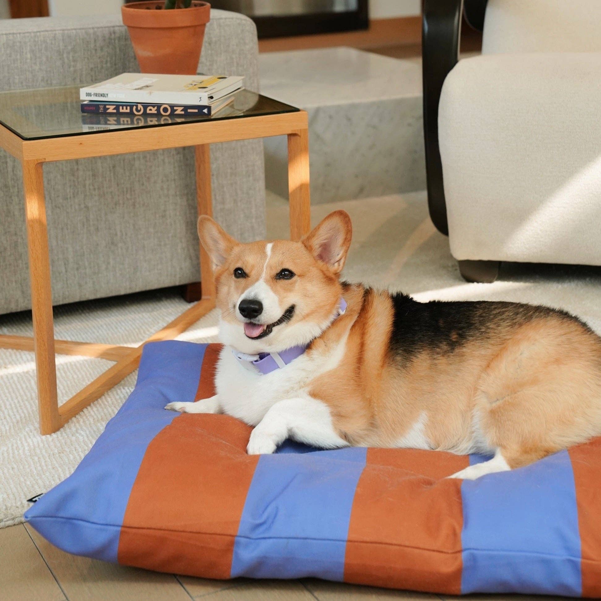 Approved by Fritz - The Fritz Dog Bed | Recycled | Machine Washable: Goalgetter / Standard