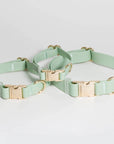 Shop Sunny Tails - Pistachio Green Waterproof Dog Collar