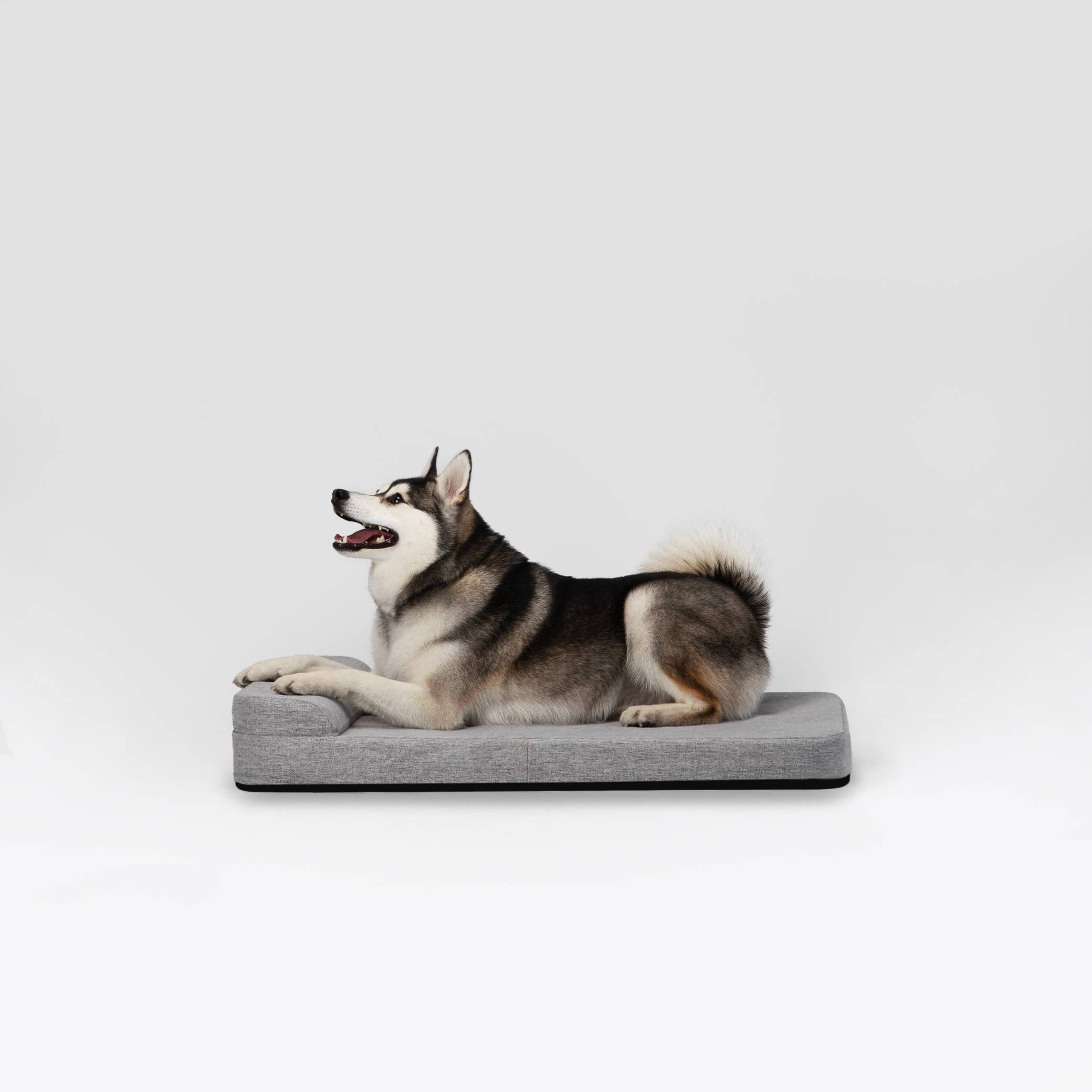 Diggs - Bolstr Crate Bed [Universal fit]: Grey / 24"