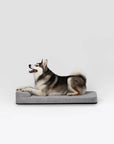 Diggs - Bolstr Crate Bed [Universal fit]: Grey / 24"