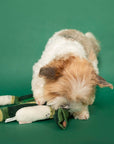 the furryfolks - Green Onion Nosework Toy