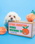 the furryfolks - Orange Nosework Toy