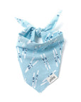 The Paws - Ski Winter Dog Bandana