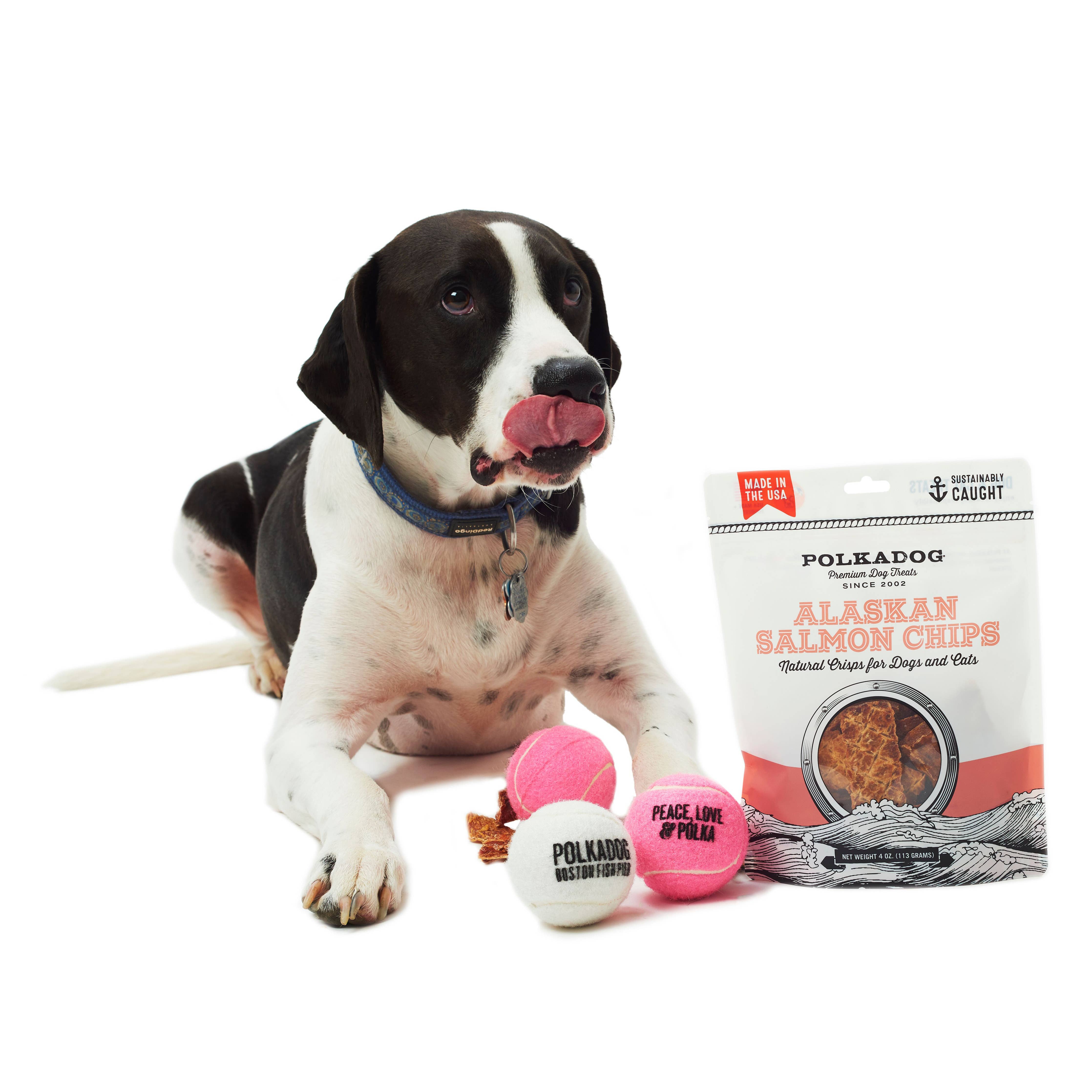 Polka dog treats best sale