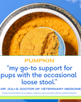 Native Pet - Pumpkin Powder