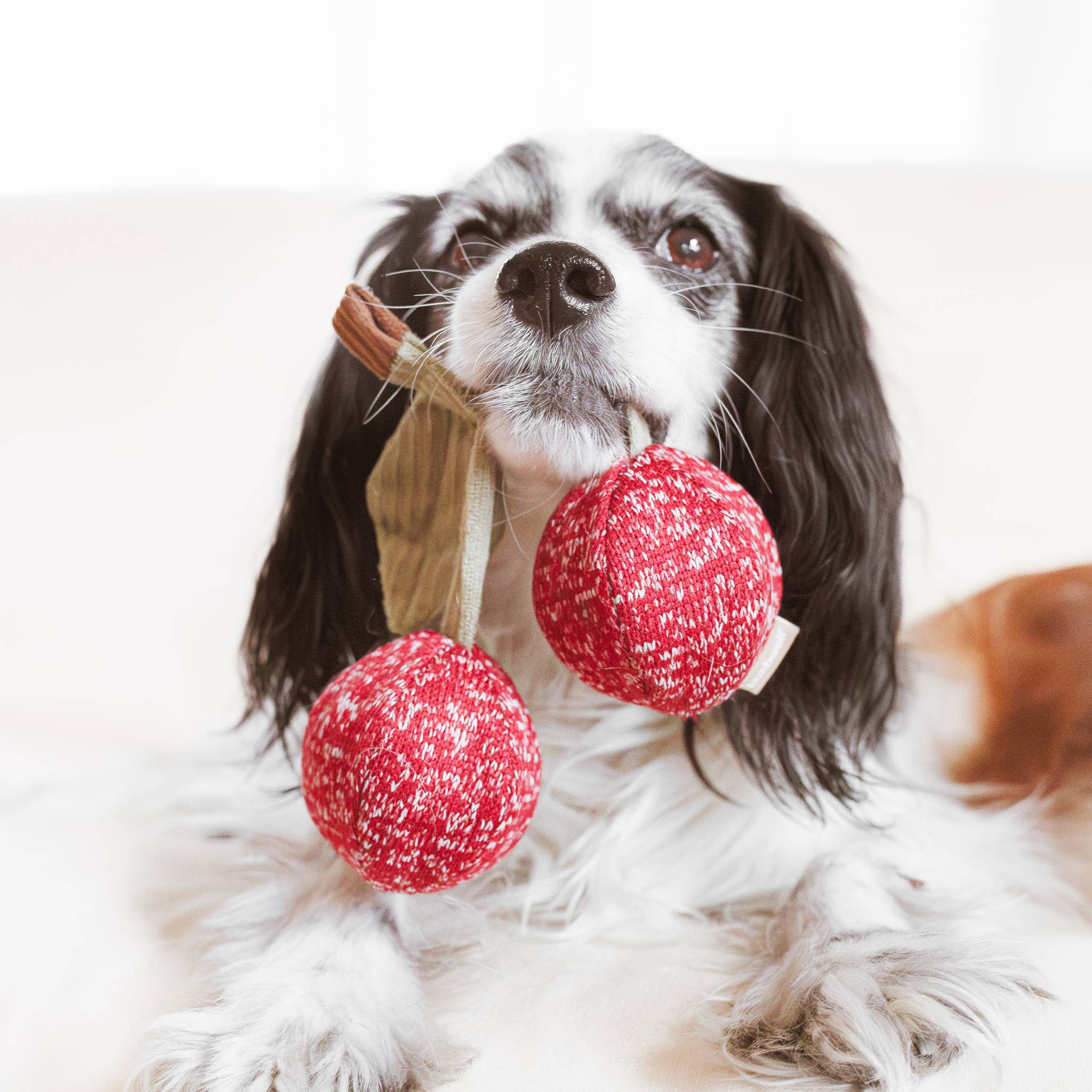 Lambwolf Collective - CHERRY POP//ENRICHMENT DOG TOY