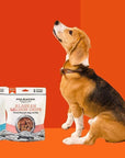 Polkadog - Salmon Chips - 4oz - Dog Treats