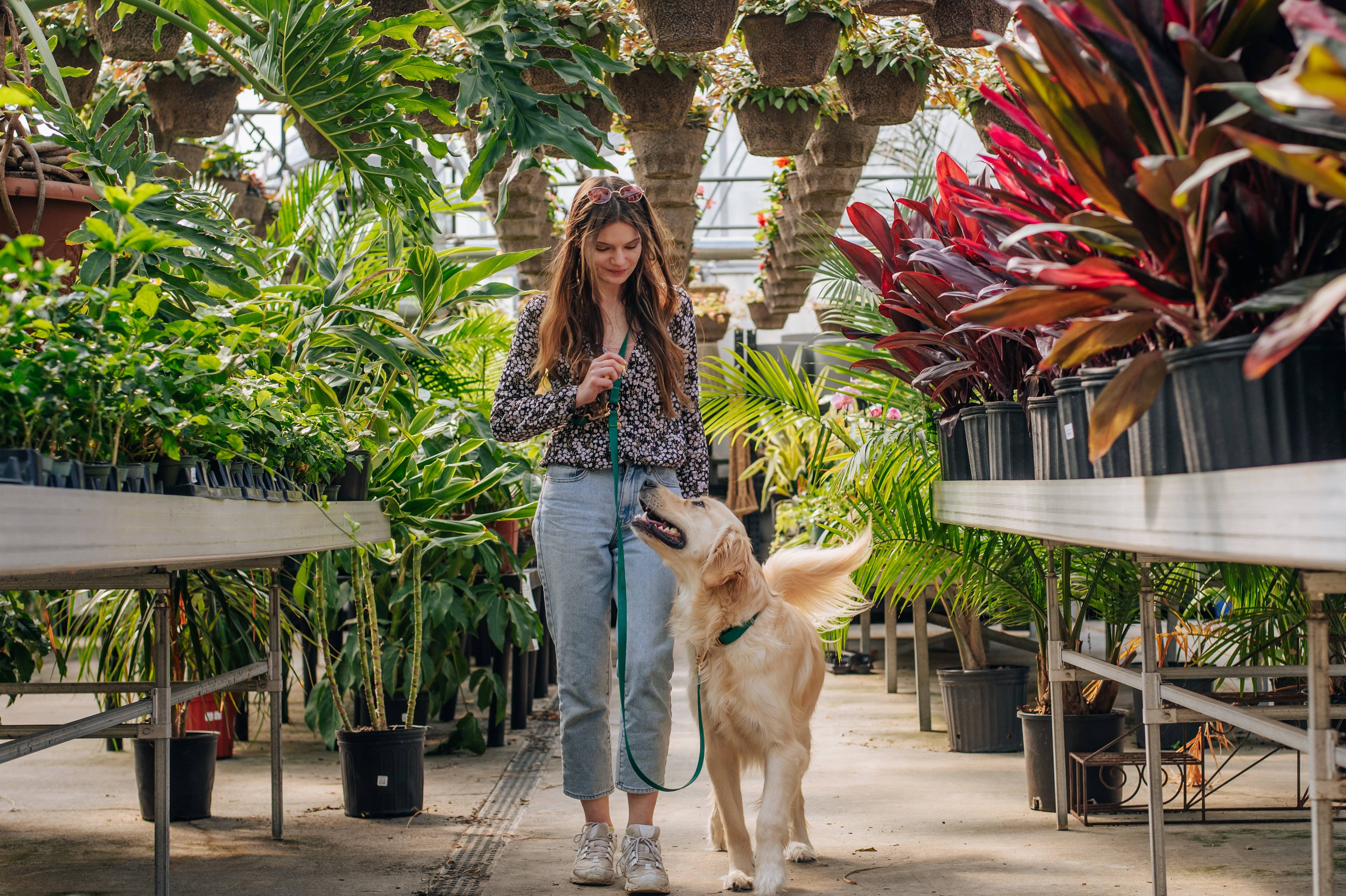 Shop Sunny Tails - Ember Black 4-in-1 Convertible Hands Free Wide Dog Leash