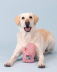 Wagsdale - Can't Touch This Plush Dog Toy