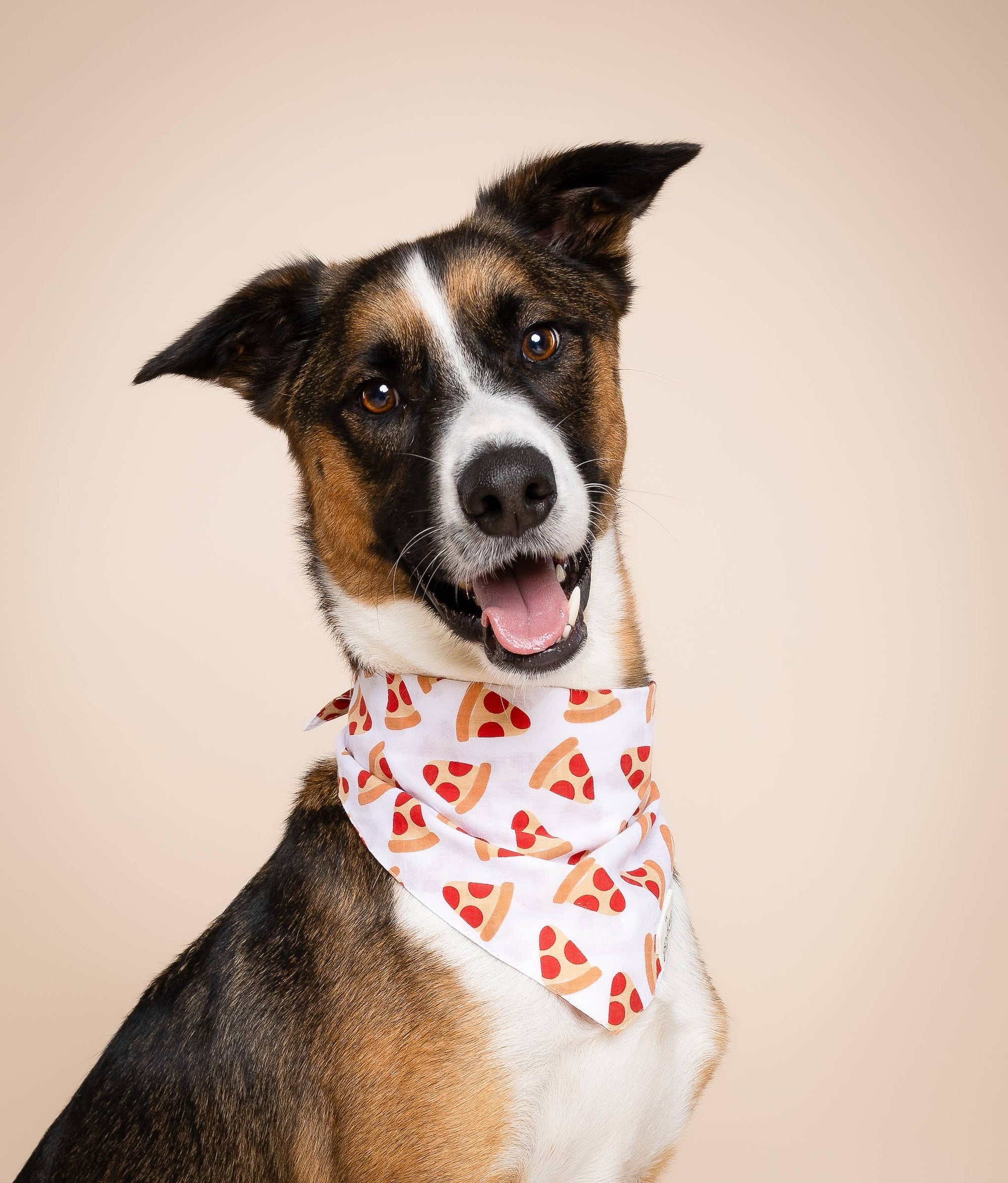 The Paws - Pizza  Dog Bandana