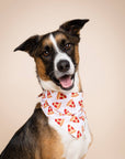 The Paws - Pizza  Dog Bandana