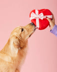 The Foggy Dog - Be My Valentine Interactive Snuffle Dog Toy