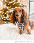 WOOF+WEEN - Adjustable Harness - SANTA PAWS