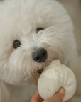 Lambwolf Collective - GARLIC POP//ENRICHMENT DOG TOY