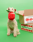 the furryfolks - Apple Nosework Toy