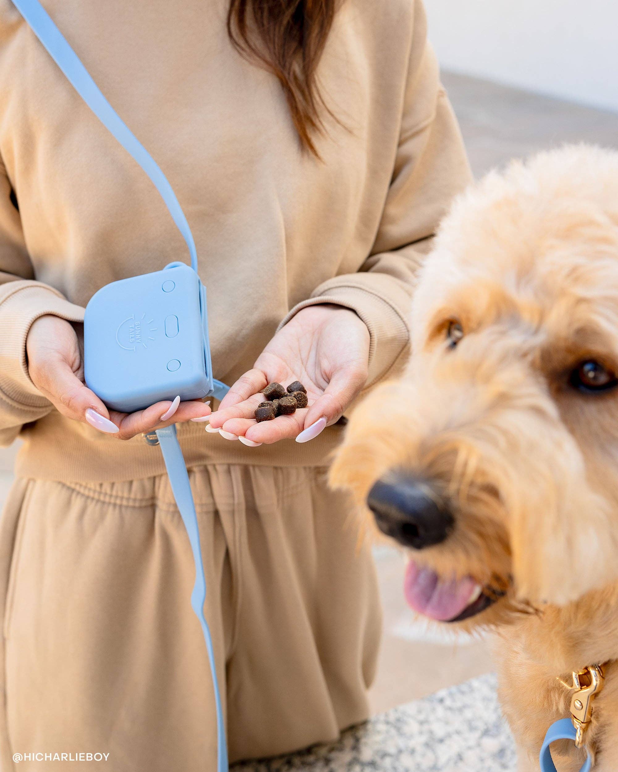 SUNNY TAILS - Malibu Blue Snap Dog Treat Pouch