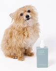 Clean Coats - Dog Conditioning Spray & Deodorizer 2 in 1 For Smelly Dogs