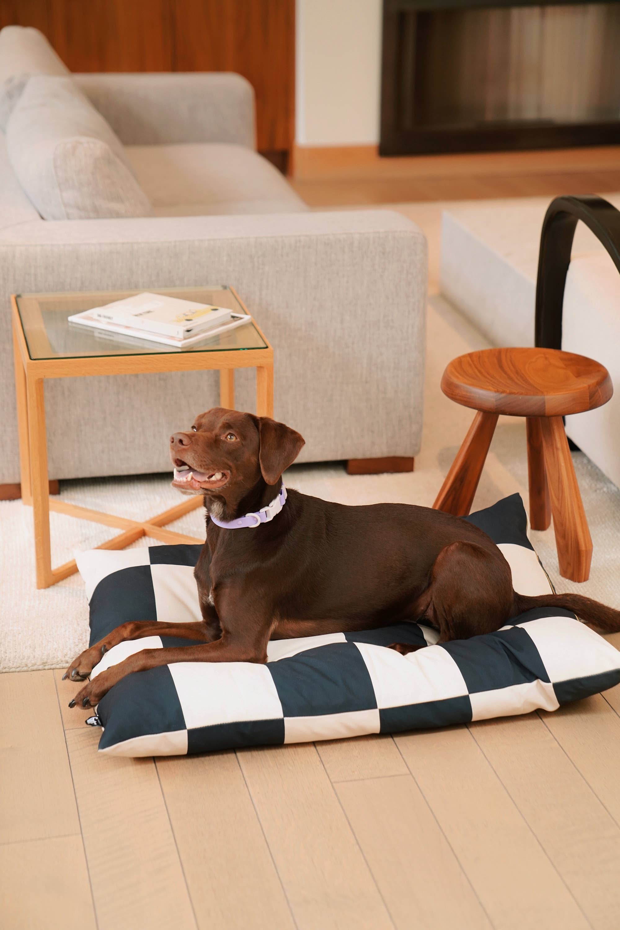 Approved by Fritz - The Fritz Dog Bed | Recycled | Machine Washable: Goalgetter / Standard